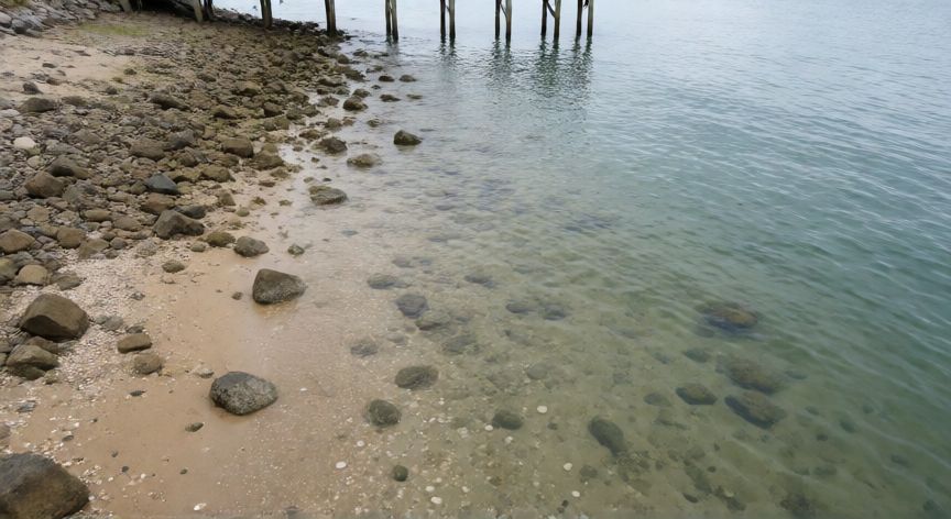 como encontrar las 50 ostras en gta san andreas, Vista cenital de la costa con ostras visibles en aguas poco profundas cerca de los muelles