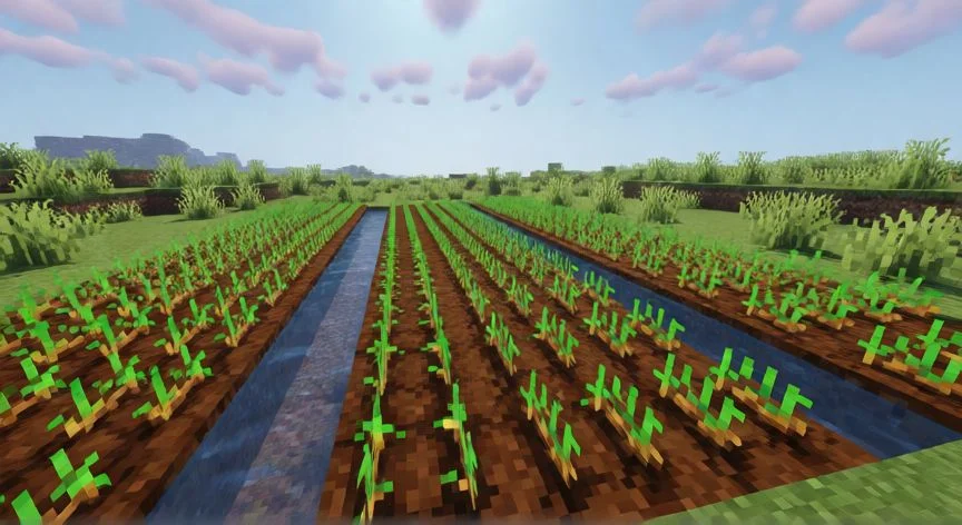 Granja de trigo organizada con canales de agua en Minecraft