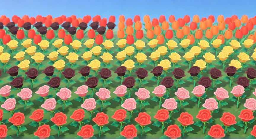 como plantar flores en animal crossing, Huerto organizado con filas de rosas y tulipanes de colores