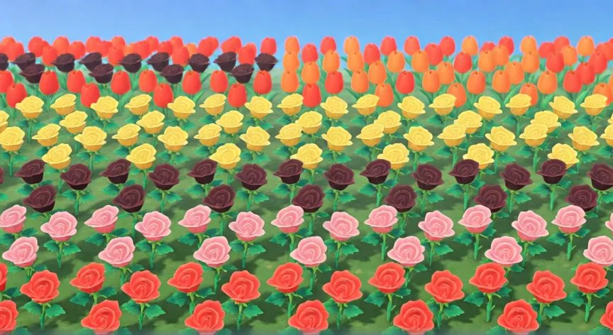 como plantar flores en animal crossing, Rosa dorada brillando junto a rosas negras con regadera de oro al atardecer