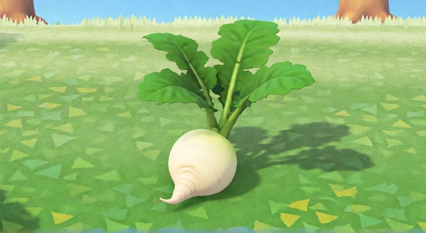 como plantar nabos en animal crossing new horizons, Planta de nabo completamente crecida en el suelo de Animal Crossing New Horizons