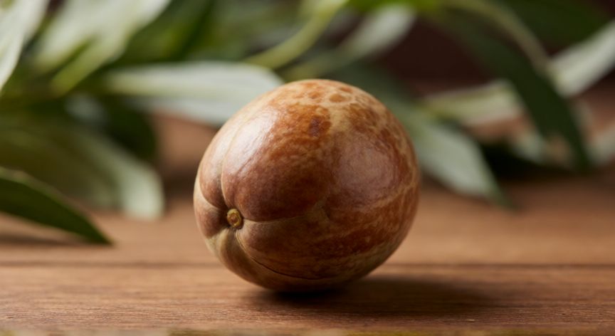 como plantar semilla de aguacate, Núcleo de aguacate limpio listo para plantar sobre mesa de madera