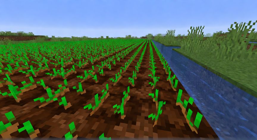 como plantar trigo en minecraft, Tierra cultivada junto al agua con brotes de trigo en Minecraft