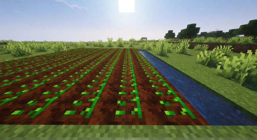 como sembrar en minecraft, Terreno preparado en Minecraft con tierra arable húmeda junto a agua