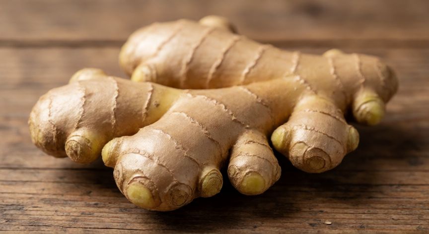 como sembrar jengibre, Rizoma de jengibre con brotes listos para plantar