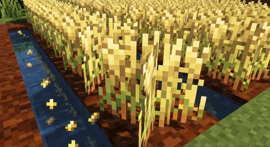 como sembrar trigo en minecraft, Granja automática de trigo con dispensador de agua, tolvas y aldeano granjero de noche