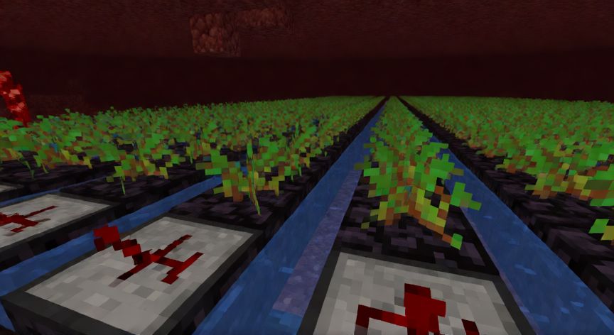 como sembrar verruga del nether, Granja de verrugas del nether automatizada con sistemas de recoleccion en Minecraft