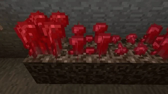 como sembrar verruga del nether, Verrugas del Nether creciendo en arenas de almas con diferentes estadios de maduración