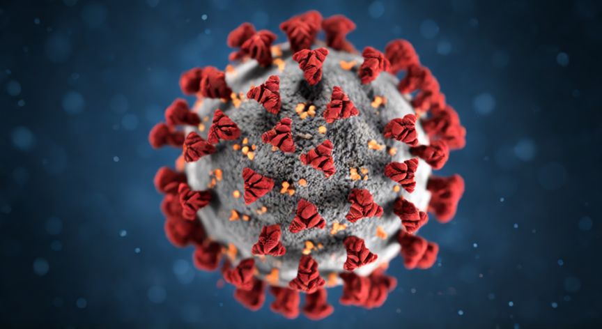covid 19 4k images, Visualización científica del coronavirus SARS-CoV-2 en alta resolución