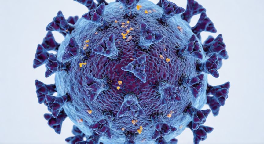 covid 19 bacteria, Ilustración científica de una partícula del virus SARS-CoV-2 con proteínas pico