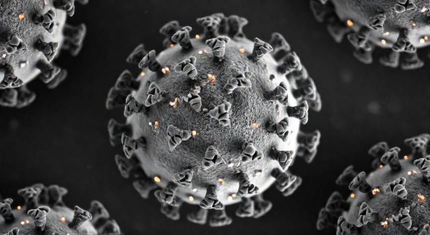 covid 19 bajo el microscopio, Imagen de microscopio electrónico del coronavirus SARS-CoV-2 mostrando sus proteínas S
