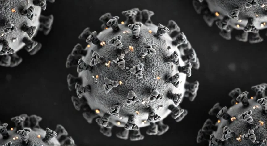 Imagen de microscopio electrónico del coronavirus SARS-CoV-2 mostrando sus proteínas S