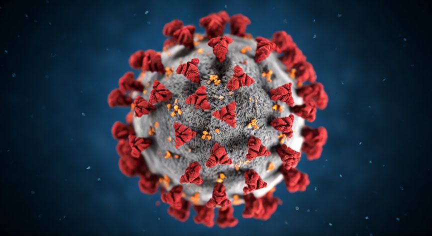covid 19 definicion, Vista microscópica del virus SARS-CoV-2 con sus proteínas de pico