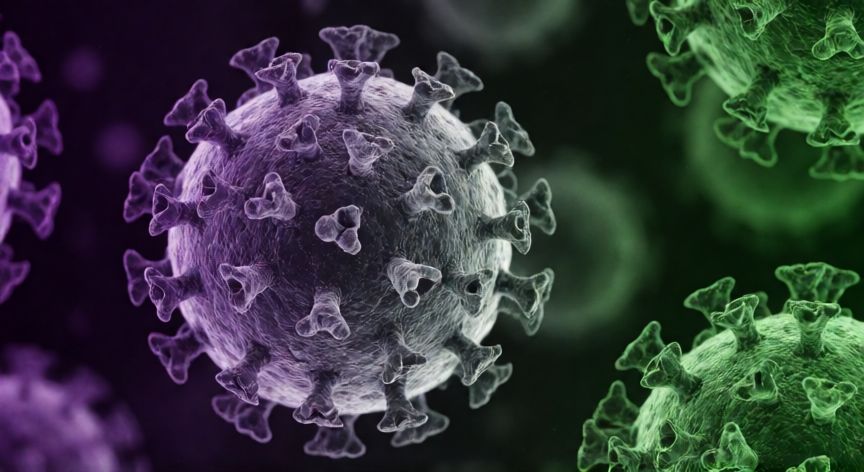 covid 19 fotos, Imagen de microscopía electrónica del coronavirus SARS-CoV-2 con sus proteínas de espiga