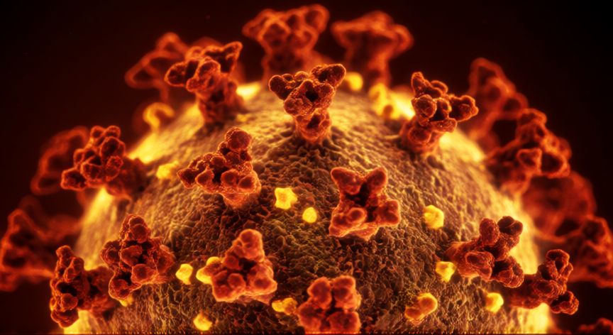 covid 19 ka full form, Vista microscopica del virus SARS-CoV-2 mostrando su estructura de corona