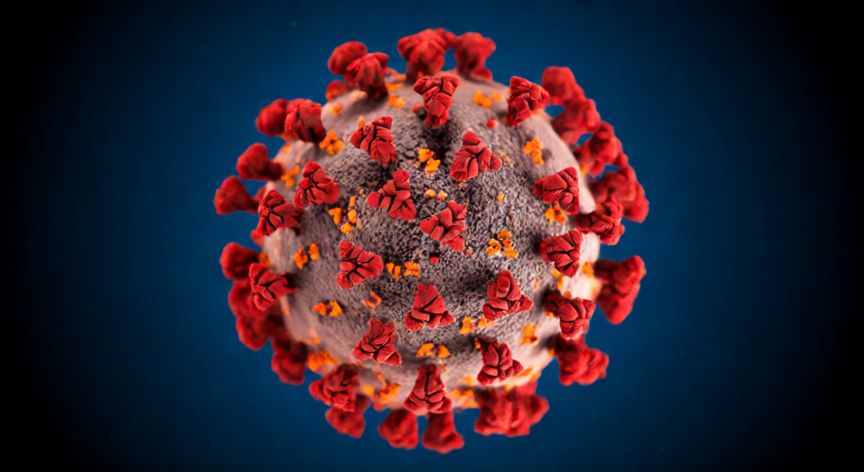 covid 19 kya hai, Vista microscópica del virus SARS-CoV-2 responsable del COVID-19