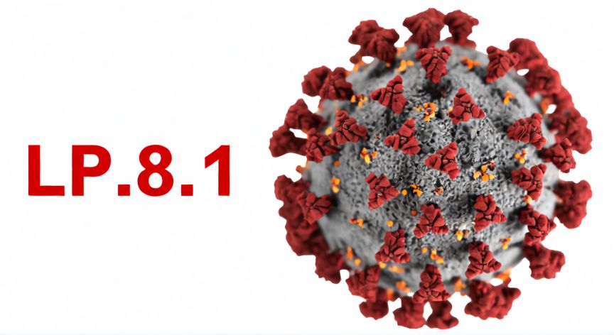 covid 19 lp.8.1, Diagrama científico de la variante LP.8.1 del virus SARS-CoV-2