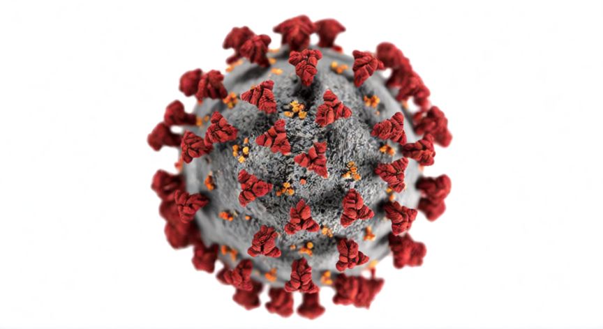 covid 19 nombre cientifico, Representación científica del virus SARS-CoV-2 con sus proteínas de espiga