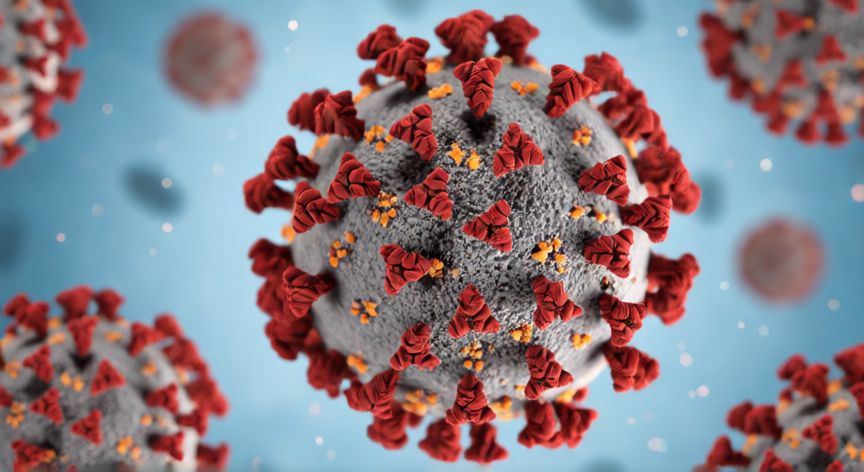 covid 19 o coronavirus, Estructura microscópica del virus SARS-CoV-2 con proteínas de espiga