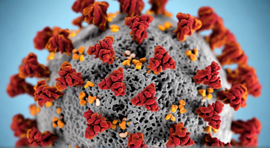 covid 19 que es, Estructura microscópica del virus SARS-CoV-2 responsable del COVID-19
