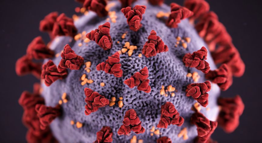 covid 19 que lo provoco, Vista microscópica del virus SARS-CoV-2 con sus proteínas de espiga