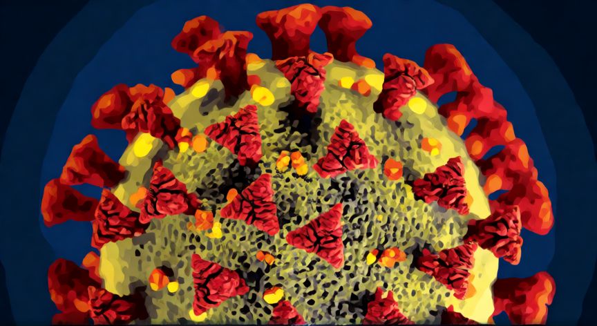 covid 19 que tipo de virus es, Estructura microscópica del virus SARS-CoV-2 con proteínas espiga
