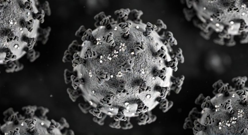 covid 19 under microscope, Imagen de microscopio electrónico del coronavirus SARS-CoV-2 mostrando sus espigas