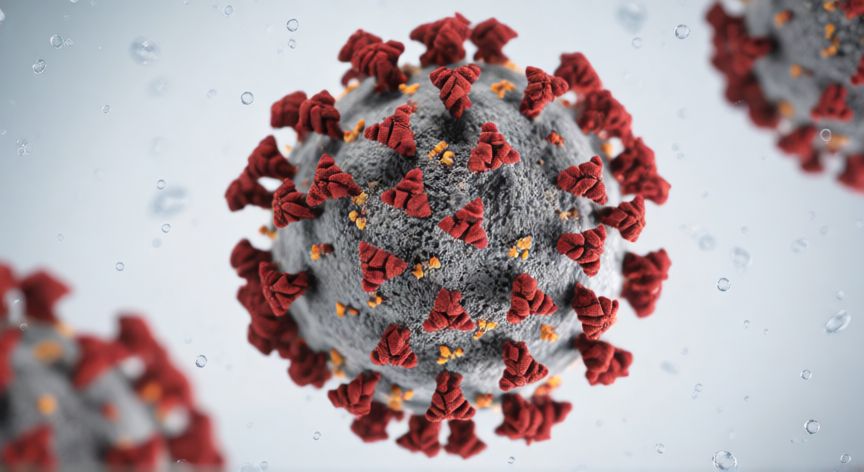 covid 19 y coronavirus es lo mismo, Vista microscópica de un virus de la familia coronavirus con proteínas de espiga