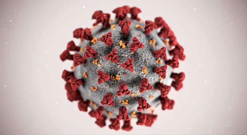 Ilustración molecular del virión SARS-CoV-2 con sus cuatro proteínas estructurales