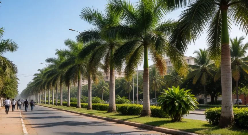 mejor pais áfrica para vivir, Avenida con palmeras en una ciudad africana tropical durante el día