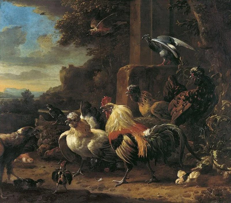 para qué animales sirve la oxitetraciclina, Aves de corral, gallos, gallinas y polluelos, grupo animal tratado con oxitetraciclina