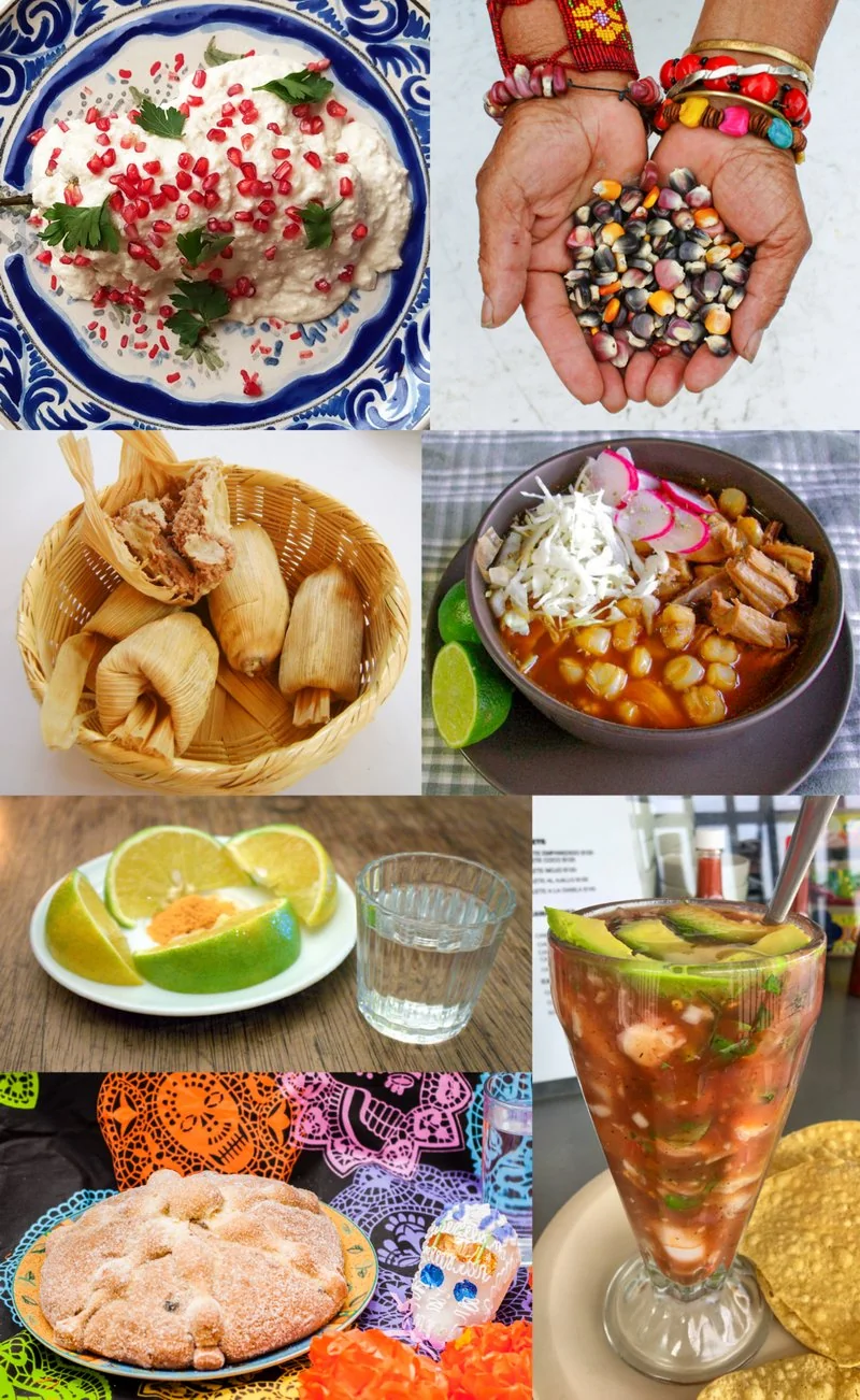para qué sirve animalin hierro, Collage de gastronomía mexicana, contexto del jarabe de agave usado en el suplemento