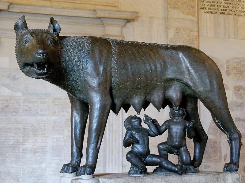 que animal amamanto a romulo y remo, Loba Capitolina de bronce amamantando a Rómulo y Remo, Museos Capitolinos