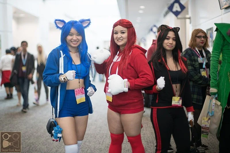 que animal es knuckles, Cosplayers de Sonic y de Knuckles el Equidna, con guantes blancos de púas, en un evento de cómics