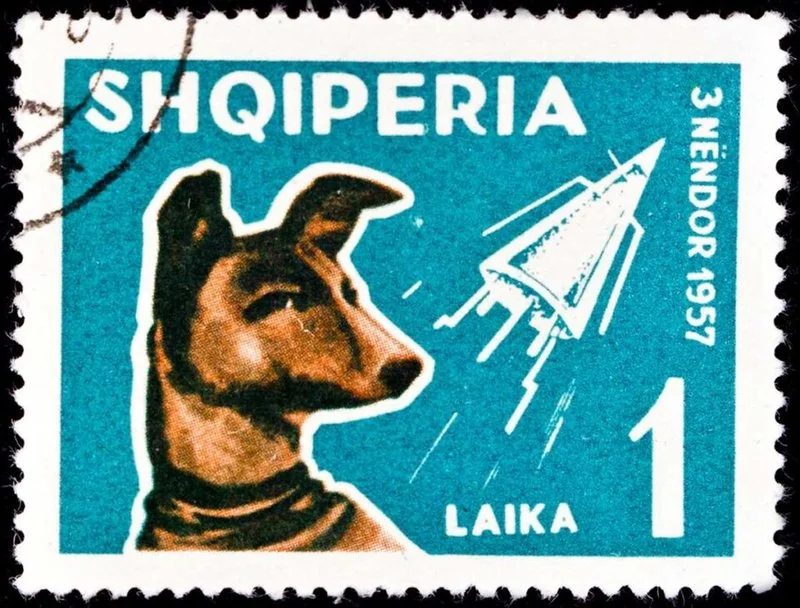 que animal fue primero al espacio, Sello postal albanés de 1957 que muestra el perfil de Laika junto al cohete Sputnik 2, conmemorando el primer viaje de un ser vivo a la órbita terrestre