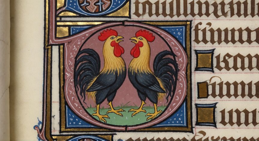que animal representa a francia, Manuscrito medieval con el emblema heráldico del gallo galo y detalles dorados