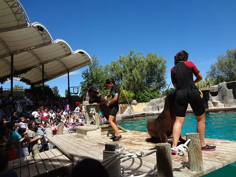 Faunia Madrid: un zoo de ecosistemas con 4.000 animales y 500 especies