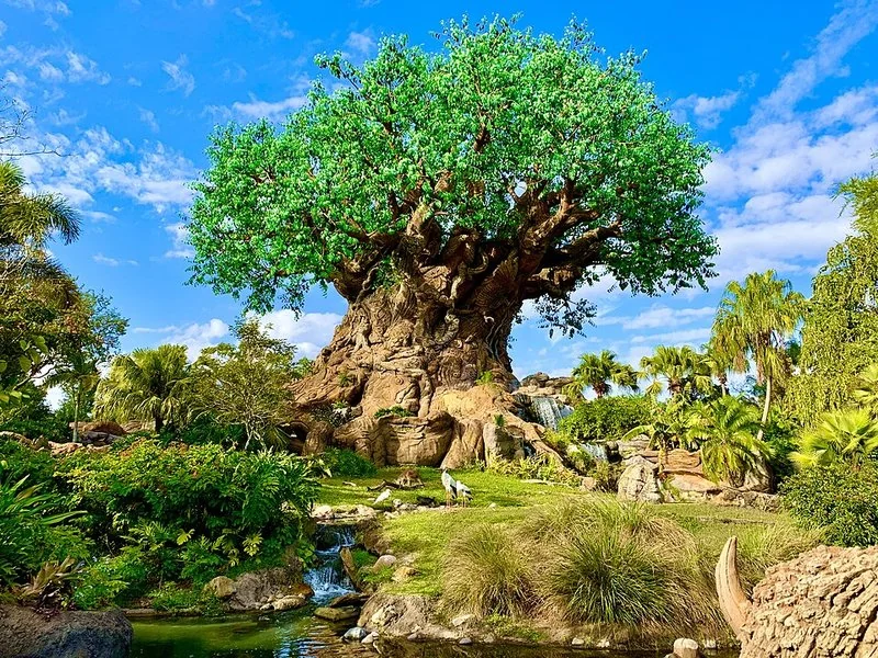 Animal Kingdom vs Hollywood Studios: ¿cuál es mejor para tu visita a Disney World?