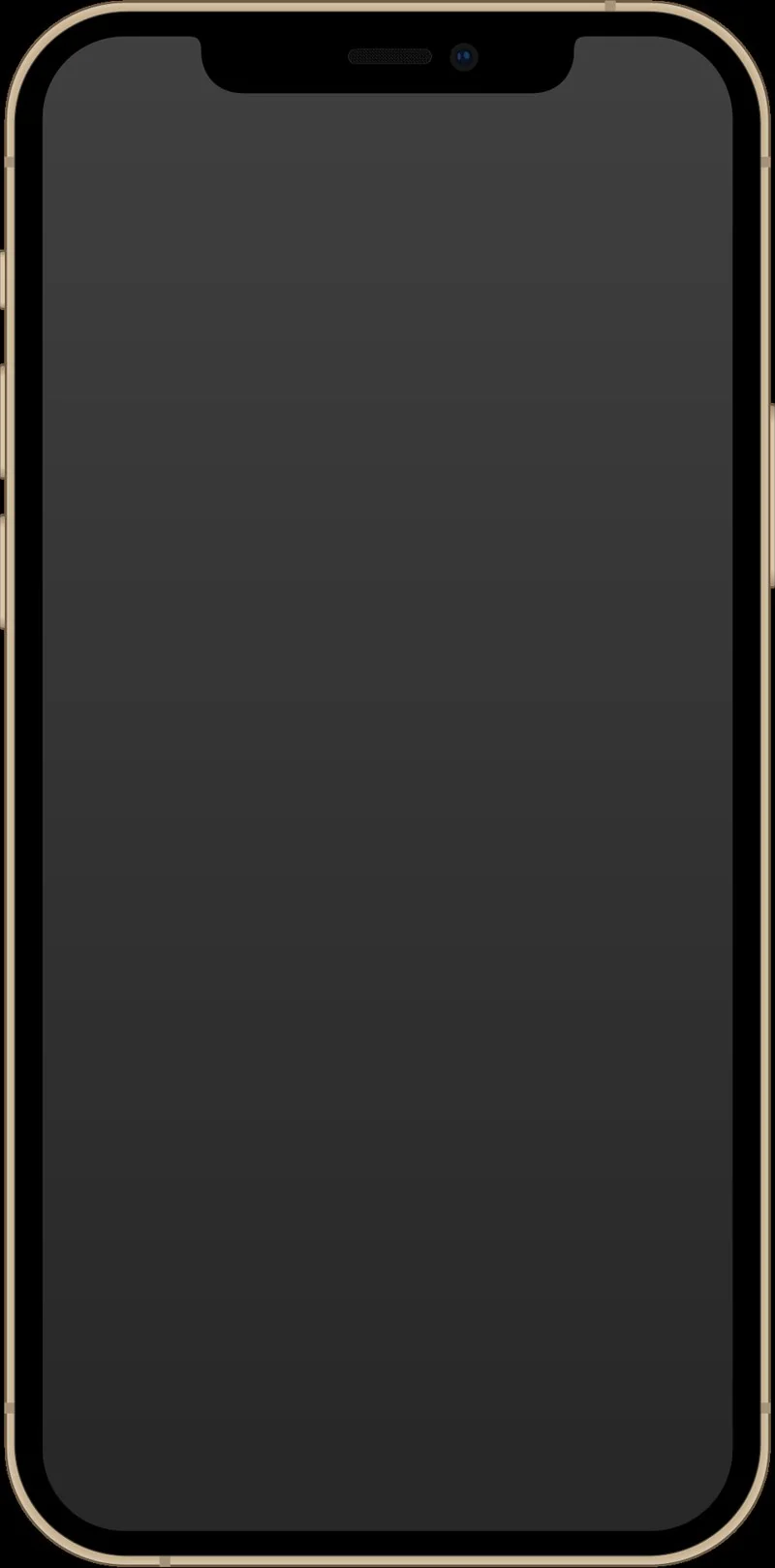iPhone 12 Pro acabado dorado, frontal con pantalla y notch