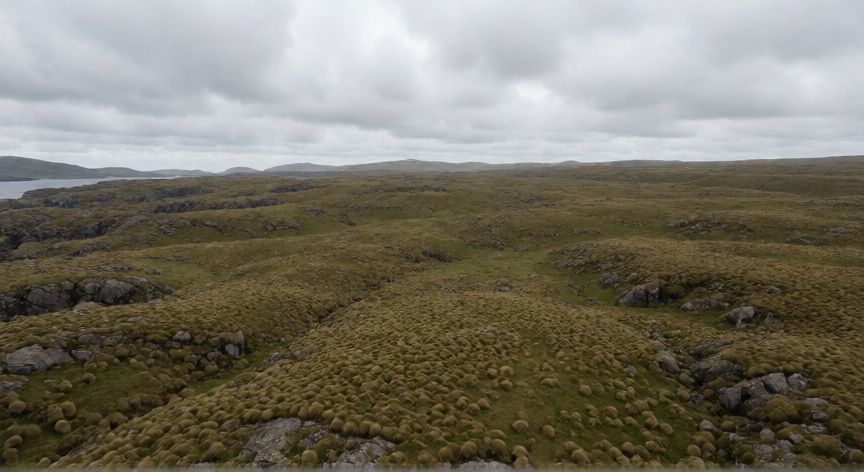 que ocurrio con las islas malvinas, Paisaje árido y verde de las Islas Malvinas visto desde el aire con cielo nublado
