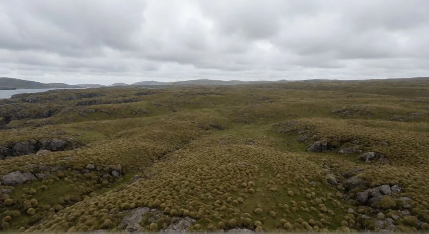 Paisaje árido y verde de las Islas Malvinas visto desde el aire con cielo nublado